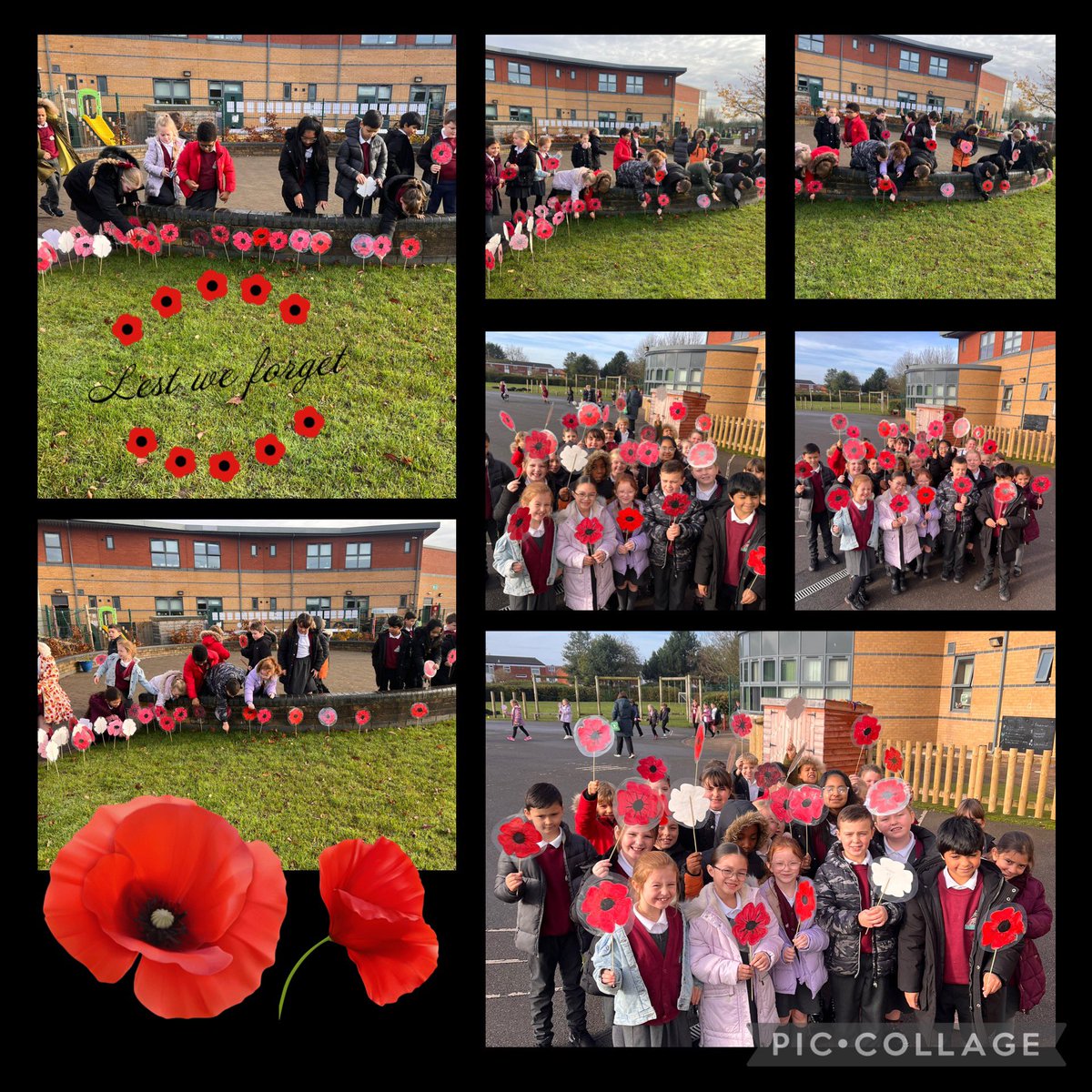 Spanish at Mab Lane (@mablanespanish) on Twitter photo Lest we forget. We created poppies and placed them in the garden as a mark of remembrance for those who have fought and fallen for us. ๐๐ผ
<a href="/MabLanePri/">Mab Lane Primary Sch</a> <a href="/MrsFarleyMLP/">Mrs Farley</a> ๐ Lest we forget. We created poppies and placed them in the garden as a mark of remembrance for those who have fought and fallen for us. ๐๐ผ
<a href="/MabLanePri/">Mab Lane Primary Sch</a> <a href="/MrsFarleyMLP/">Mrs Farley</a> ๐