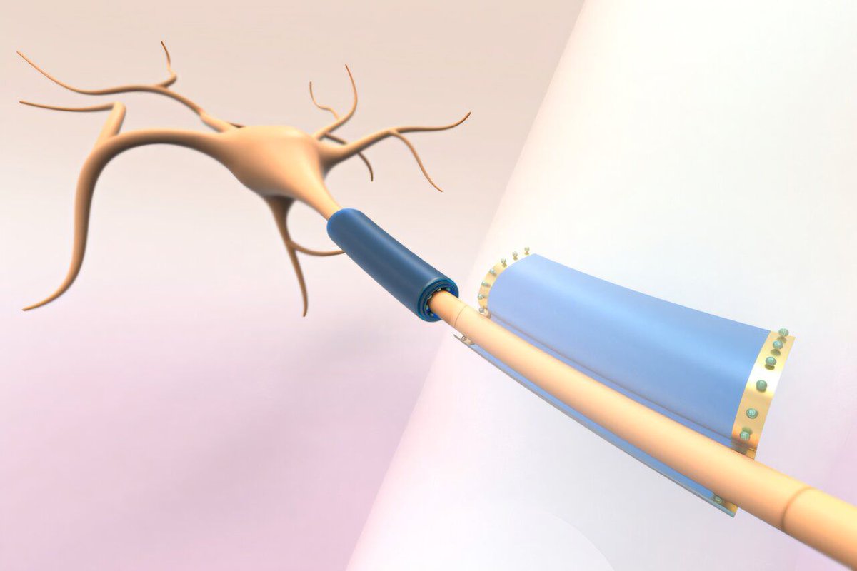 Subcellular 'wearable' devices that wrap around neurons could measure and modulate electrical activity medicalxpress.com/news/2024-10-s… #futuremedicine #wearables #wearabletech #healthcare #HealthTech