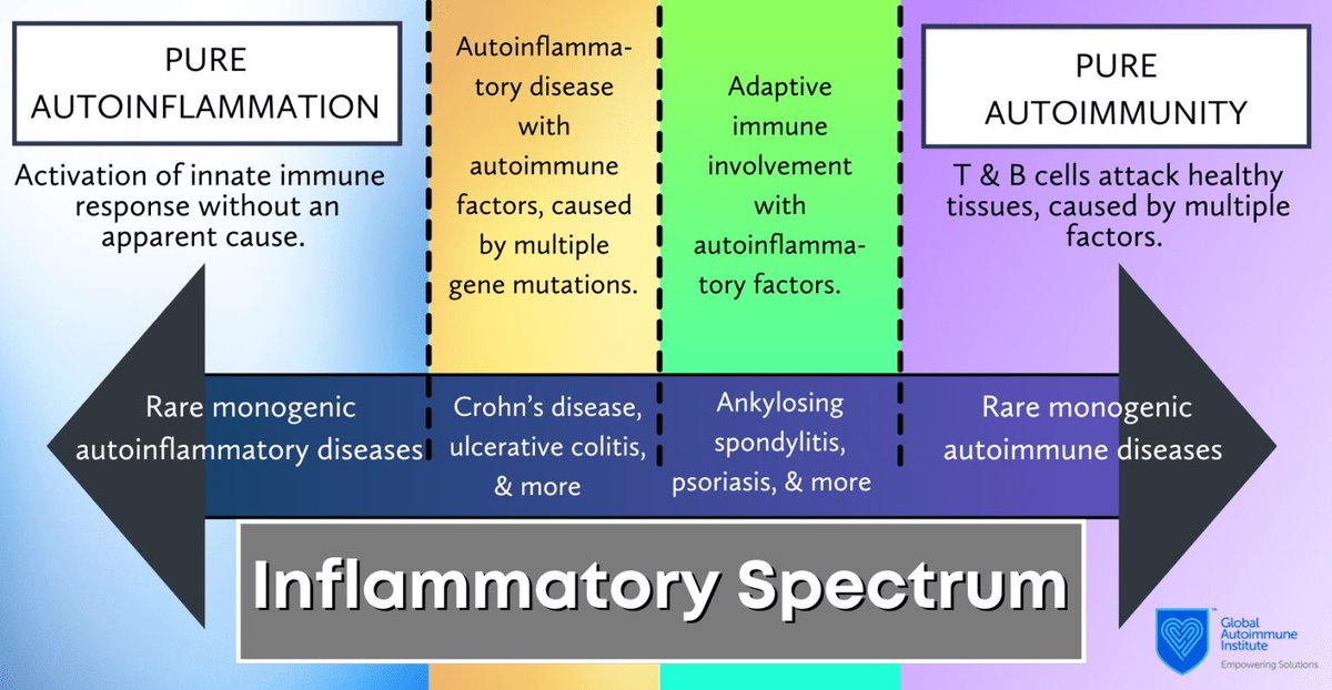 Dafne Salas-Cuadros, MD tweet media