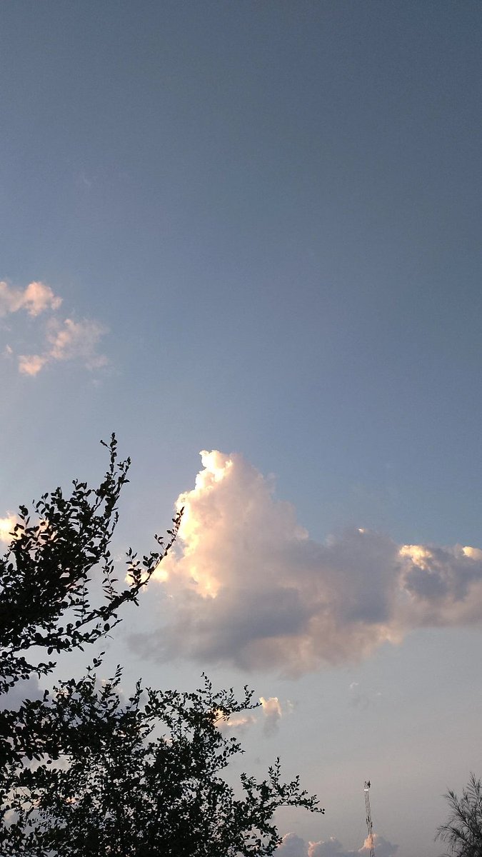 ملامح الشتا بدت تبين وهاي بحد ذاتها نعمة تستحق نحمد الله عليها كل لحظة💗🥳.