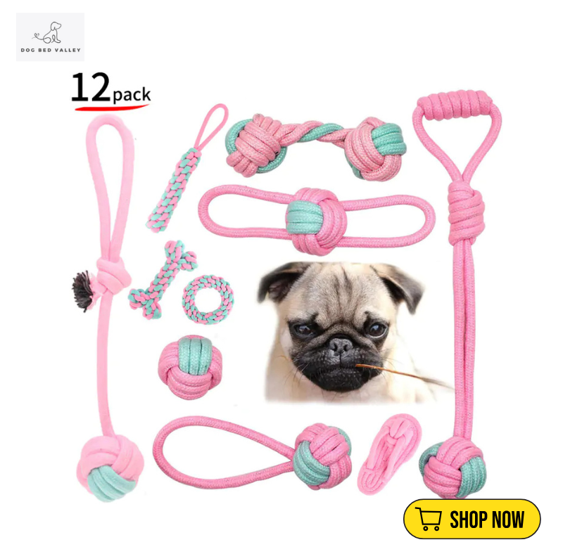 dogbedvalley's tweet photo. 🎉🐾 playtime special with our cotton rope chew toys! Designed to withstand the toughest chewers, they help support your pup’s dental health. 💚 What's the funniest thing your dog does with their toys? Share your laughs! 😂👇
Shop Now: https://t.co/n6szLmvDvg

#DogChewToys  #uk https://t.co/1f6wMC9arQ