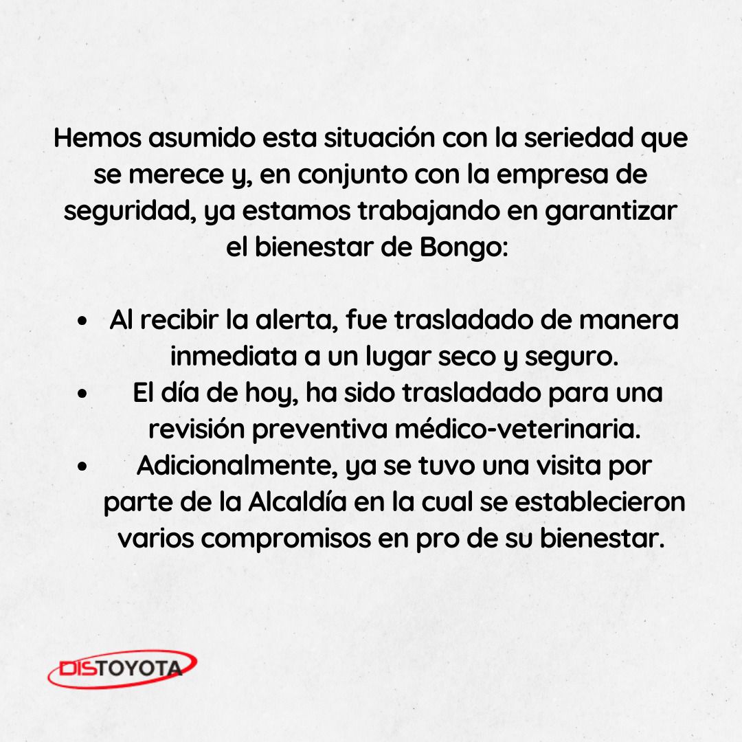 Distoyota tweet media