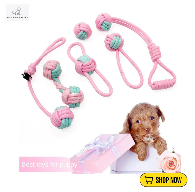 dogbedvalley's tweet photo. 🎉🐾 playtime special with our cotton rope chew toys! Designed to withstand the toughest chewers, they help support your pup’s dental health. 💚 What's the funniest thing your dog does with their toys? Share your laughs! 😂👇
Shop Now: https://t.co/n6szLmvDvg

#DogChewToys  #uk https://t.co/1f6wMC9arQ