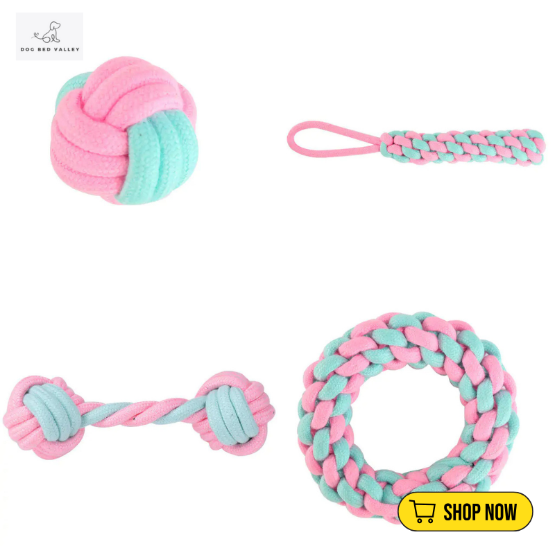 dogbedvalley's tweet photo. 🎉🐾 playtime special with our cotton rope chew toys! Designed to withstand the toughest chewers, they help support your pup’s dental health. 💚 What's the funniest thing your dog does with their toys? Share your laughs! 😂👇
Shop Now: https://t.co/n6szLmvDvg

#DogChewToys  #uk https://t.co/1f6wMC9arQ