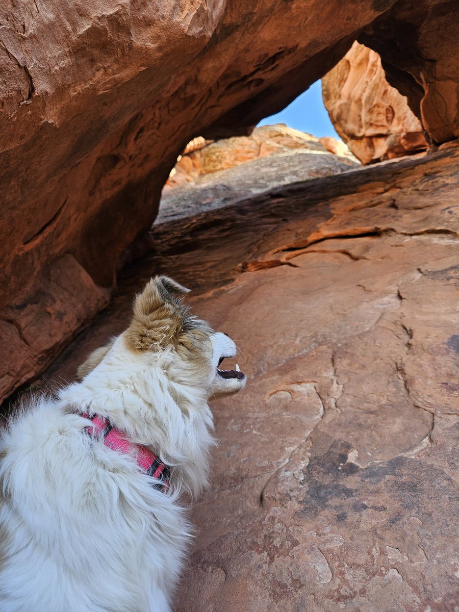 Loathe** tweet media