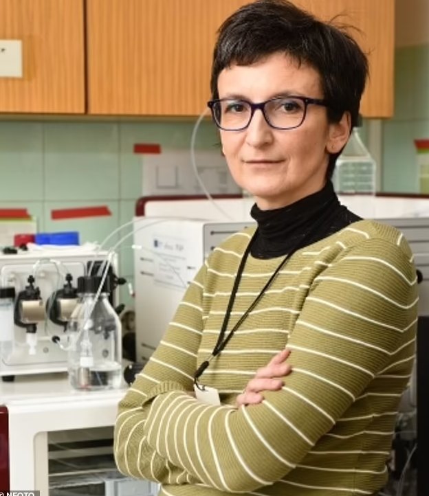 XNewsJournal's tweet photo. ⚕️Woman beats stage 3 cancer with Self-Made Vaccine

Beata Halassy, a 53-year-old infectious disease researcher, opted out of chemo and used oncolytic virotherapy to treat her breast cancer. Her determination led to a remarkable recovery. 

#CancerSurvivor #CancerAwareness #Cancer #CancerResearch #cancertreatment