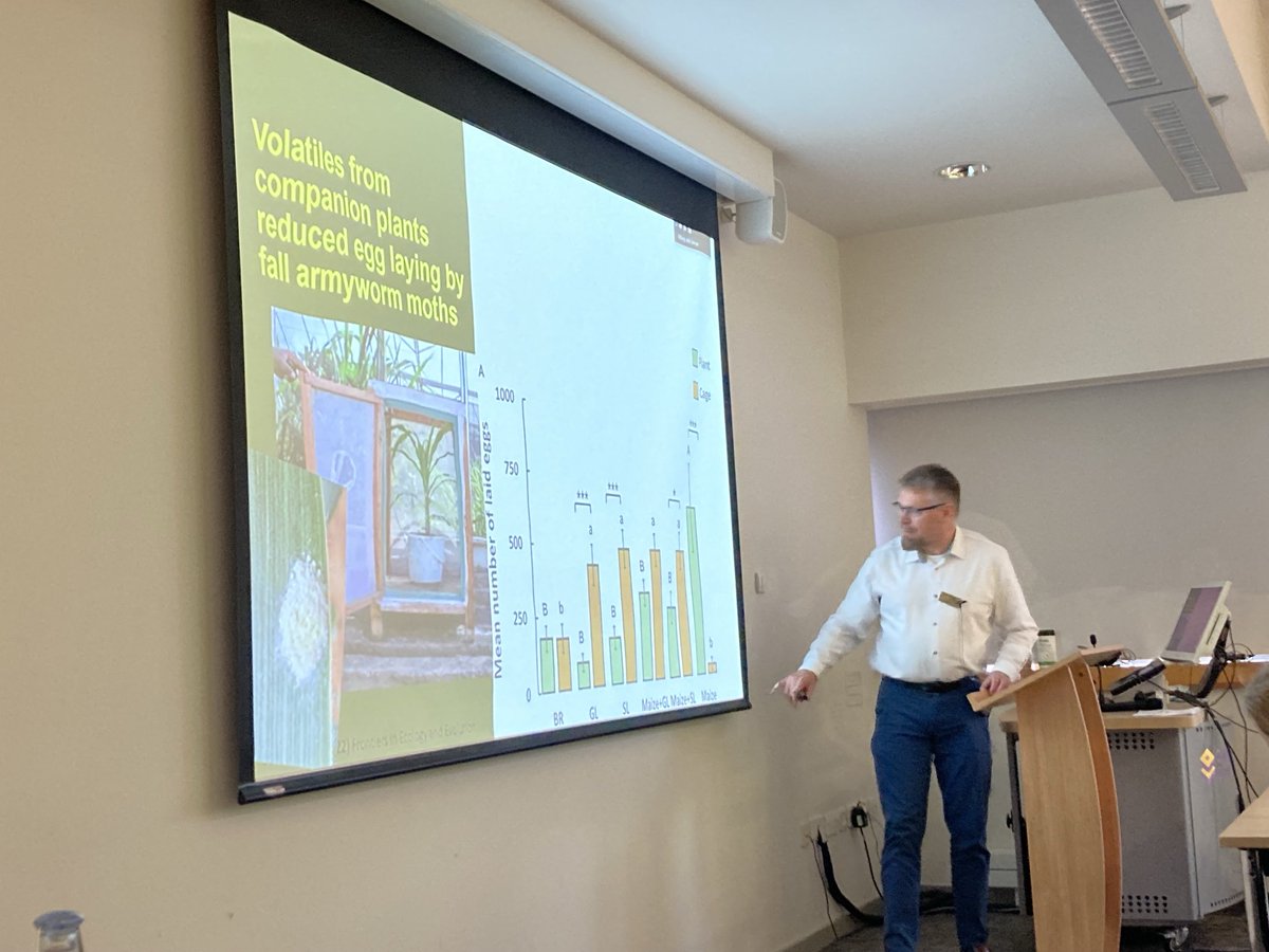 Dick Shaw (@dick_shaw) on Twitter photo <a href="/Toby_Bruce/">Toby Bruce</a> reporting on his team’s recent work on push-pull systems against #FallArmyWorm at the <a href="/AABiologists/">AAB @aabiologists.bsky.social</a> IPM conference. <a href="/Toby_Bruce/">Toby Bruce</a> reporting on his team’s recent work on push-pull systems against #FallArmyWorm at the <a href="/AABiologists/">AAB @aabiologists.bsky.social</a> IPM conference.
