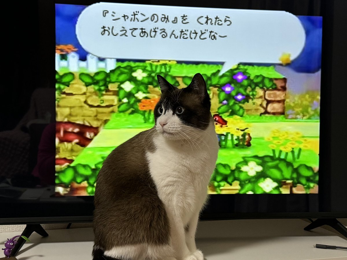 hinanon125's tweet photo. #うちのレクサス
恐らくCV野沢雅子（※再掲） https://t.co/qVqLjXs5Xi