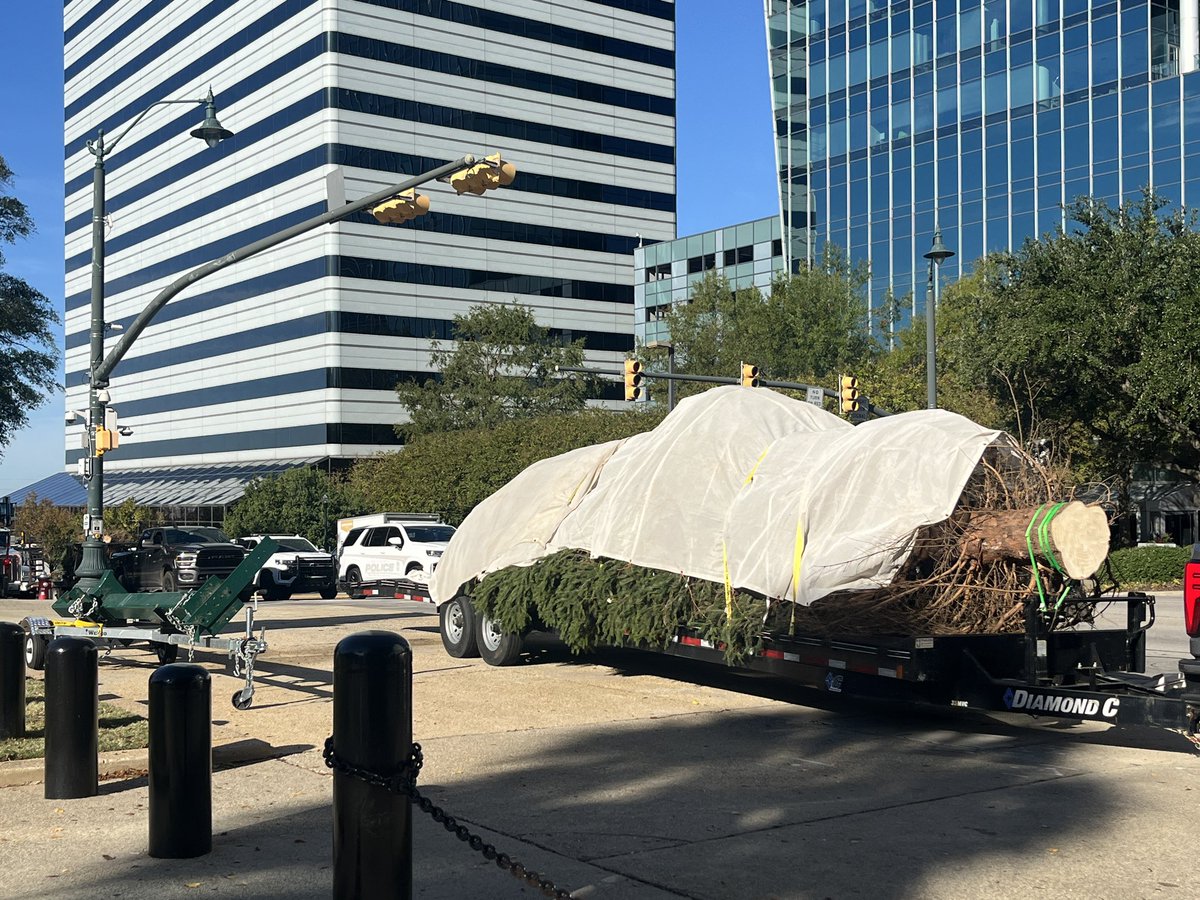 RIGHT NOW: 

SC Christmas tree arrives in Columbia from North Carolina. It survived the ongoing devastation from Hurricane Helene. 

<a href="/USCCarolinaNews/">USC Carolina News & Reporter</a>