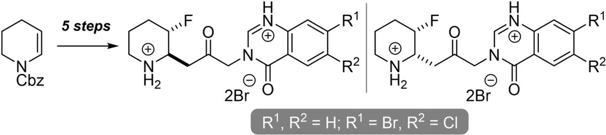 Marina Rubini (@therubinigroup) on Twitter photo "Synthesis of the cis- and trans-3-Fluoro Analogues of Febrifugine and Halofuginone" Check the latest publication from the Evan and Rubini groups <a href="/ucdchemistry/">UCD Chemistry</a> . Well done to Fahad!
…mistry-europe.onlinelibrary.wiley.com/doi/10.1002/ej… "Synthesis of the cis- and trans-3-Fluoro Analogues of Febrifugine and Halofuginone" Check the latest publication from the Evan and Rubini groups <a href="/ucdchemistry/">UCD Chemistry</a> . Well done to Fahad!
…mistry-europe.onlinelibrary.wiley.com/doi/10.1002/ej…