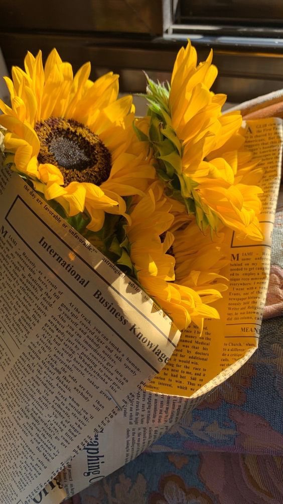 sunflowerchives's tweet photo. sunflowers https://t.co/PrHBw9iYk5