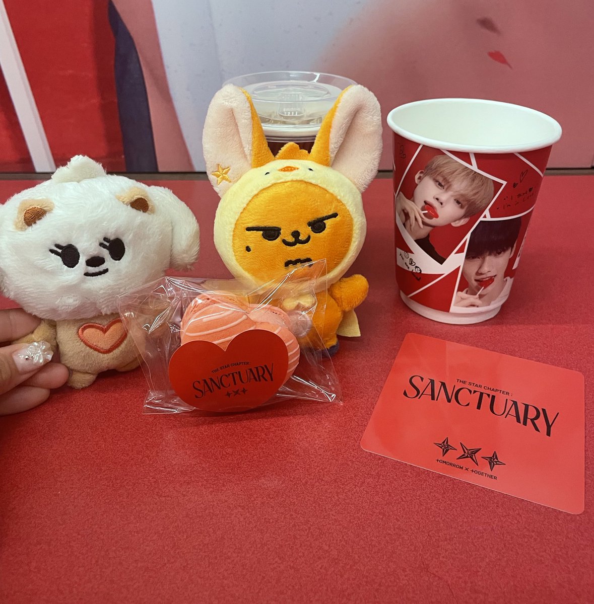 nway_fvht's tweet photo. 너무너무 이쁘고 귀여운 공간…🪽
sanctuary문 열고 싶다…
 #TOMORROW_X_TOGETHER #TXT
#The_Star_Chapter #SANCTUARY #The_Star_Chapter_SANCTUARY_POPUP
#사운드웨이브 https://t.co/KTDhV2eBke
