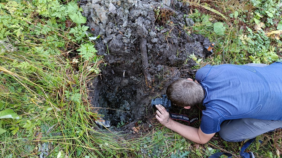 OkMusiel's tweet photo. In October, through intensive fieldwork in the Gorce Mts., we launched a joint project between @JagiellonskiUni  and @KU_Leuven, funded by the #CELSA Research Fund. The project investigates soil organic carbon (SOC) stocks and their stability in the context of forest succession https://t.co/IKsCl2k9CH