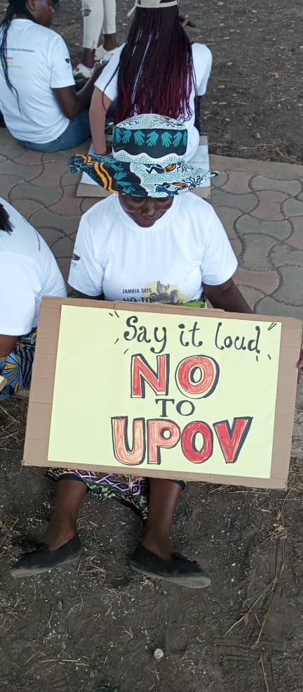 ZAAB_org's tweet photo. Yesterday in Lusaka, we gathered publicly to say ##NoToUPOV! Farmers, CSOs, youth, journalists, and supporters came together to add their voice to the movement to safeguard our farmers' rights and seed sovereignty.

Add your voice here: https://t.co/no7f1qkVRj

#COP29Azerbaijan https://t.co/eG4E1WeuOx