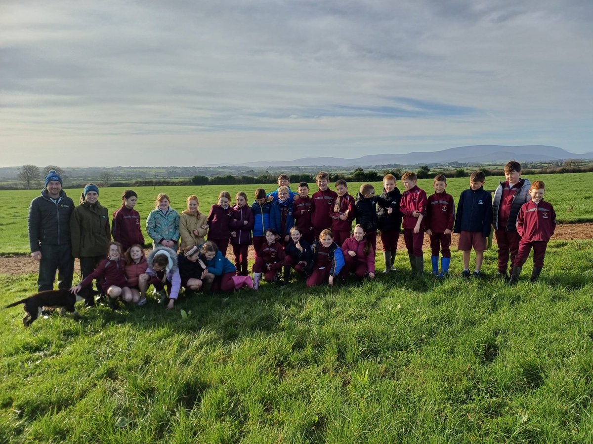 Shane Fitzgerald tweet media