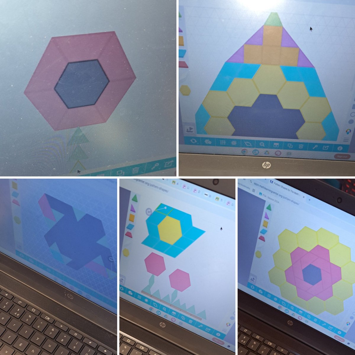 Law Primary School tweet media