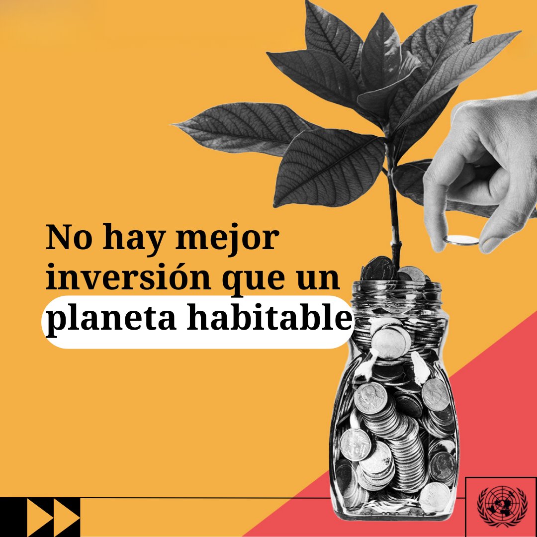 ‼️Inicia #COP29!

En medio de desastres y eventos extremos cada vez más frecuentes, es imprescindible la acción concertada para enfrentar el cambio climático.

"La financiación climática no es claridad, es una inversión". <a href="/antonioguterres/">António Guterres</a>

🔗Detalles aquí bit.ly/3YRT0ZI