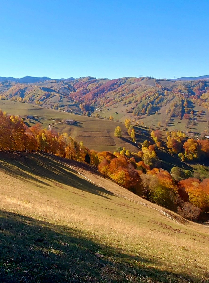 Șimon_Brasov