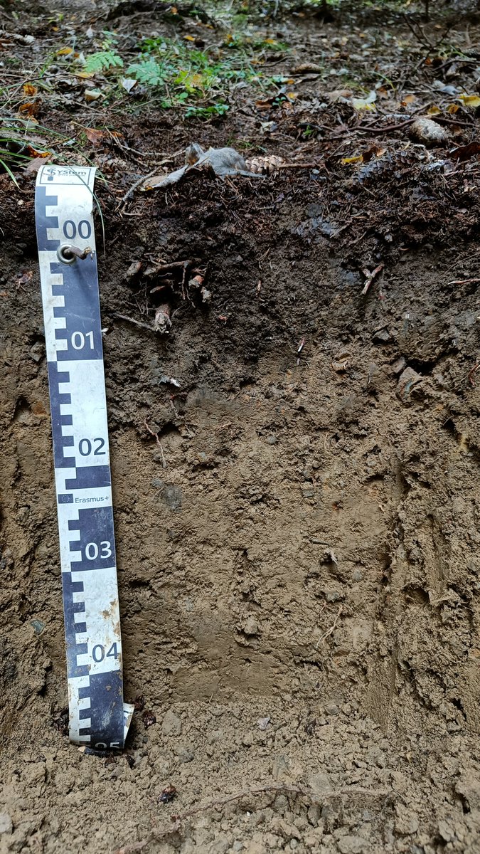OkMusiel's tweet photo. And of course, take a look at the incredible variety of soil types we uncovered! https://t.co/5lClYsUjPn