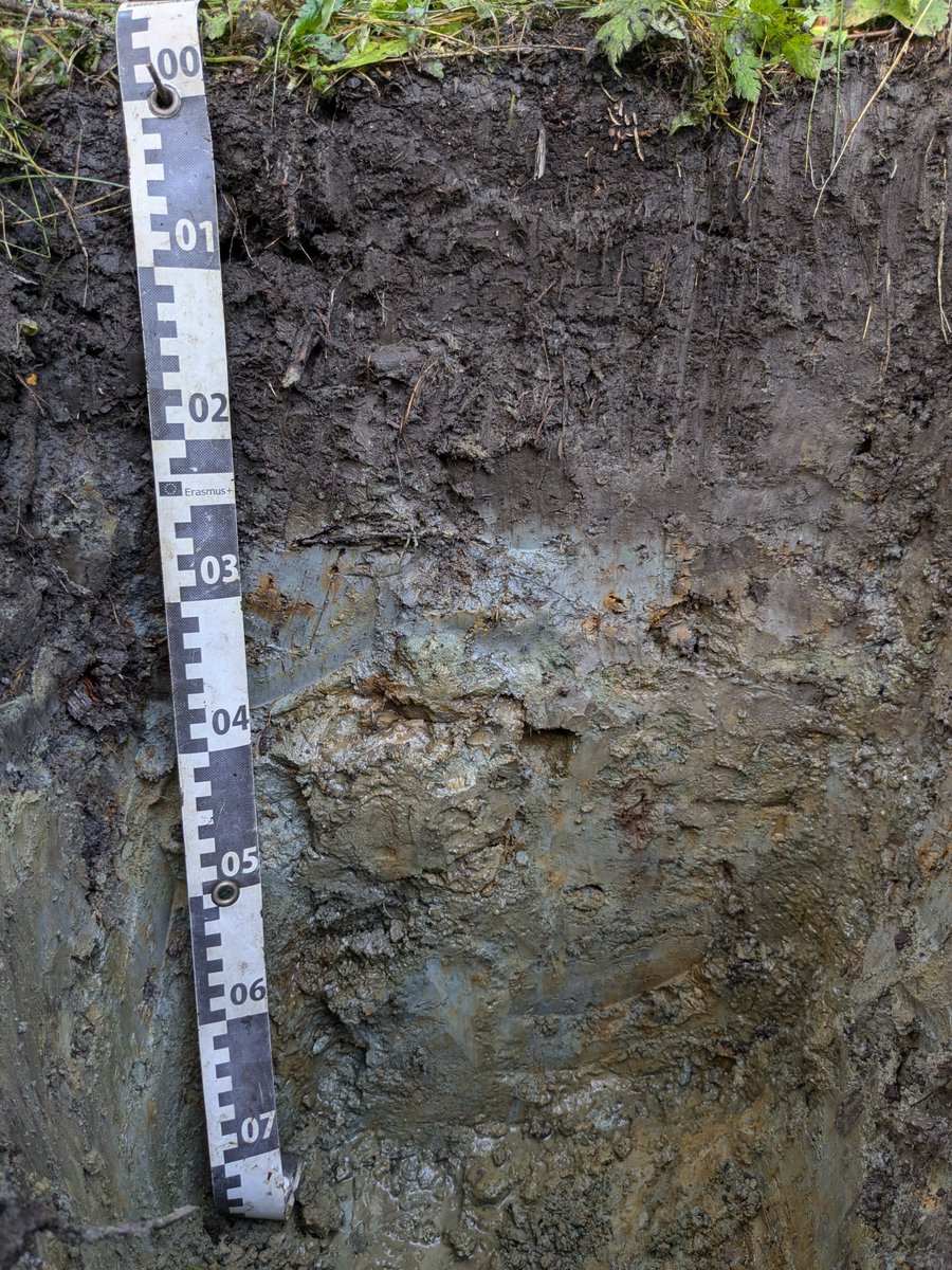 OkMusiel's tweet photo. And of course, take a look at the incredible variety of soil types we uncovered! https://t.co/5lClYsUjPn