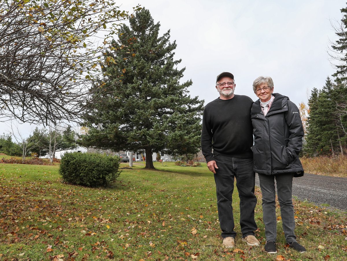 Tree for Boston (@treeforboston) on Twitter photo I'm ready for the annual trek to <a href="/CityOfBoston/">City of Boston</a> for the tree lighting event on Dec. 5. I'm a white spruce tree from Mattie Settlement, Antigonish Co. donated by my owners, Hugh & Liz Ryan, as a thank you to Boston for sending help to N.S. following the Halifax Explosion in 1917. I'm ready for the annual trek to <a href="/CityOfBoston/">City of Boston</a> for the tree lighting event on Dec. 5. I'm a white spruce tree from Mattie Settlement, Antigonish Co. donated by my owners, Hugh & Liz Ryan, as a thank you to Boston for sending help to N.S. following the Halifax Explosion in 1917.