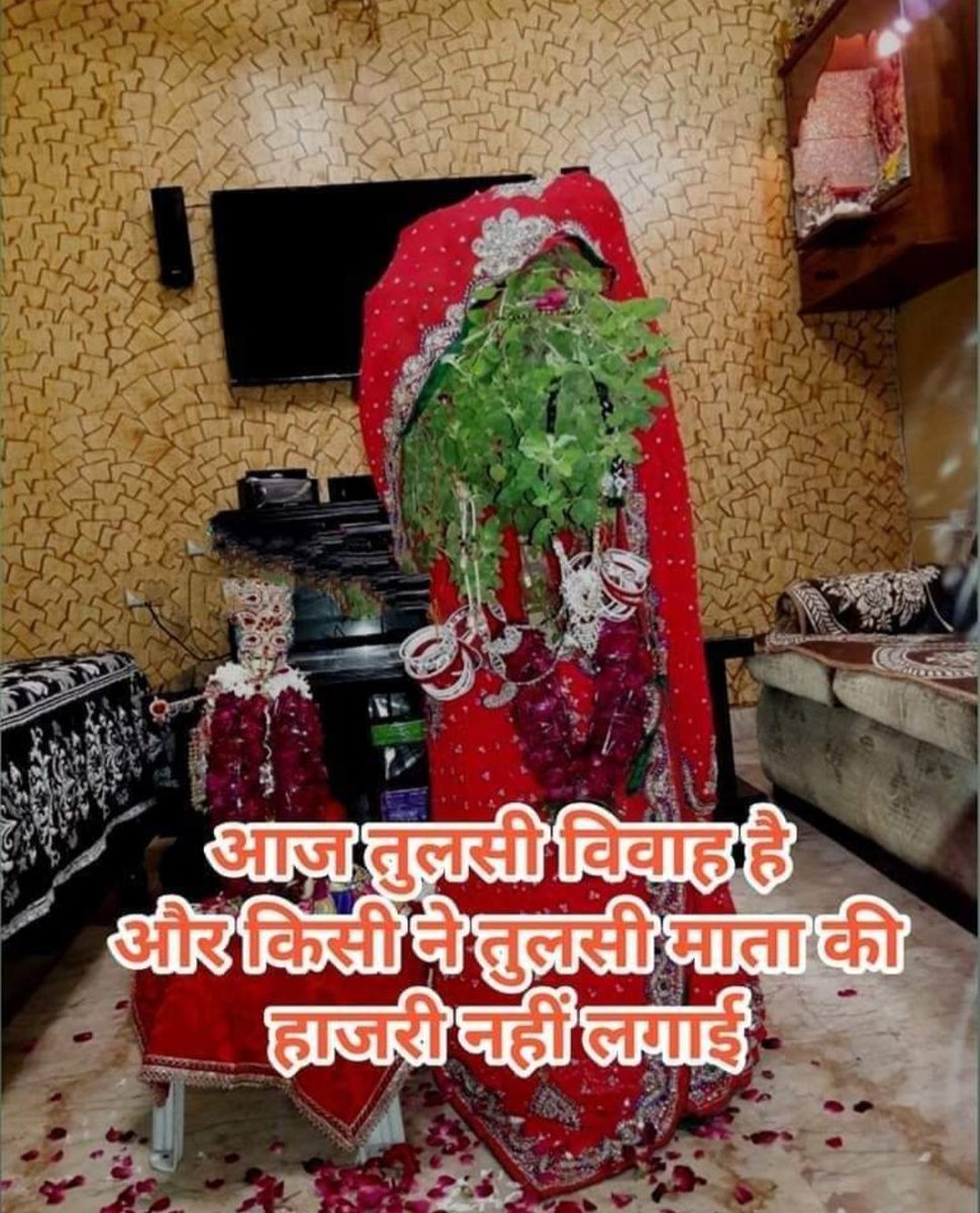 DhirajYadav1004's tweet image. आज तुलसी विवाह है और किसी ने तुलसी माता की हाजरी नहीं लगाई । 🙏🏻🙏🏻