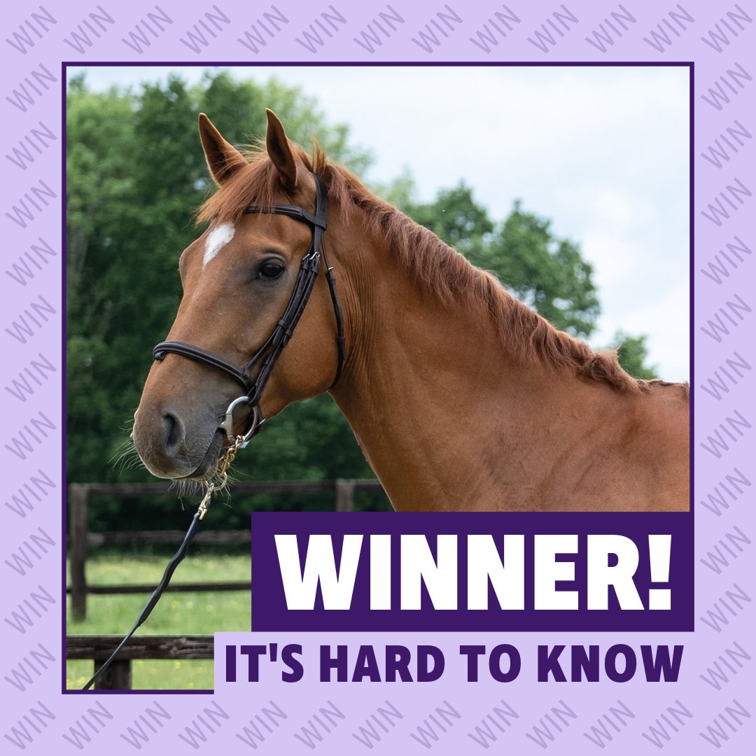 Owners Group tweet media