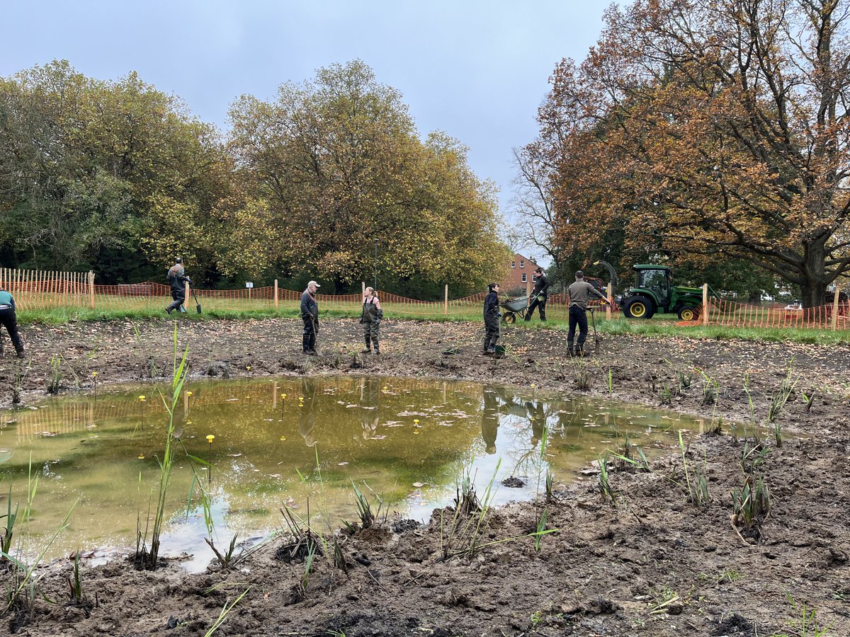 CBluescapes's tweet photo. A HUGE thank you to our wonderful volunteers for coming out to #BarnesCommon and helping us plant the new reeds.
These new reedbeds will grow fully by next year, and prevent flooding in the area.
π https://t.co/SekPeYLK7z https://t.co/wz7WVfwnMs