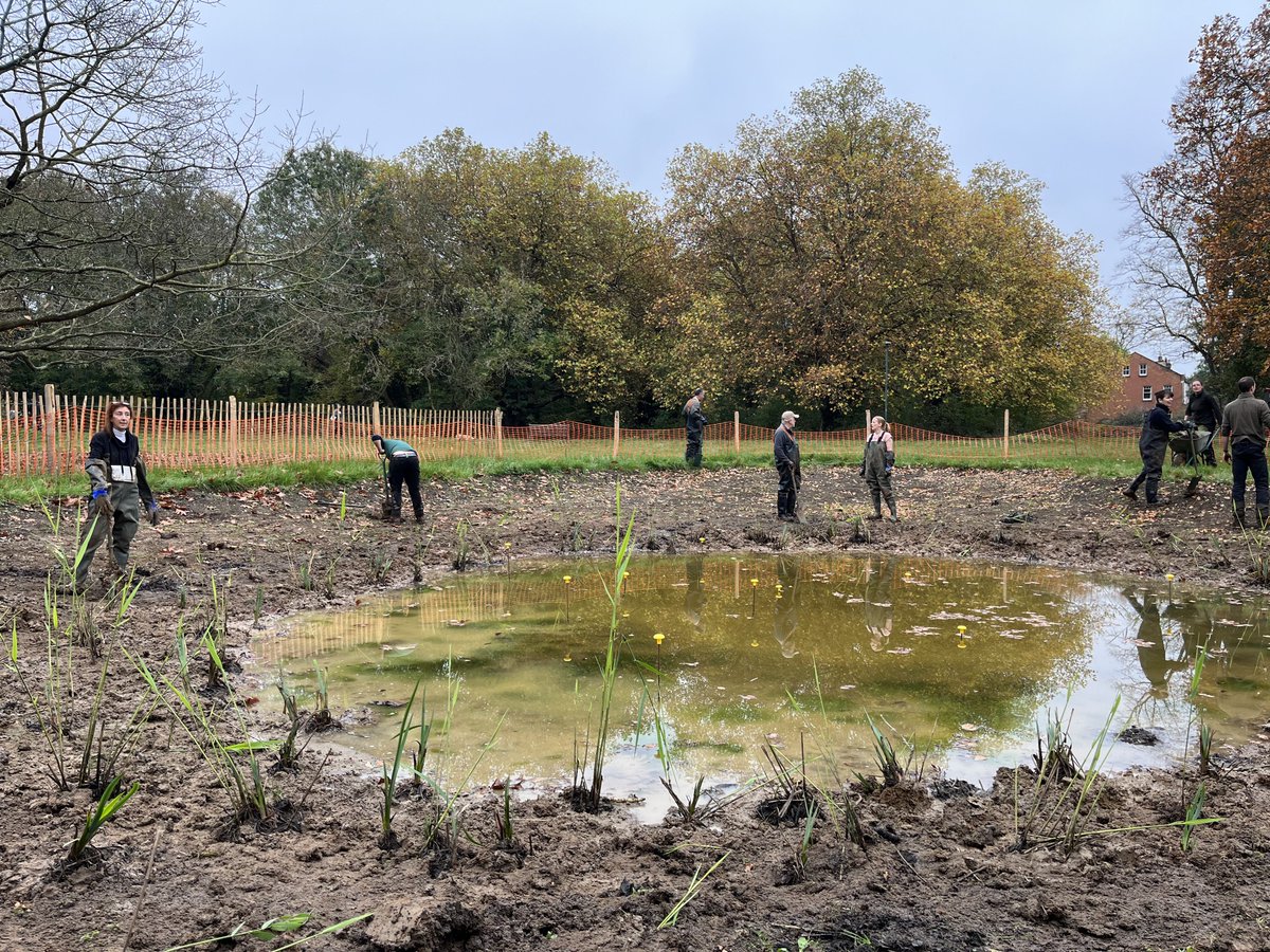 CBluescapes's tweet photo. A HUGE thank you to our wonderful volunteers for coming out to #BarnesCommon and helping us plant the new reeds.
These new reedbeds will grow fully by next year, and prevent flooding in the area.
π https://t.co/SekPeYLK7z https://t.co/wz7WVfwnMs