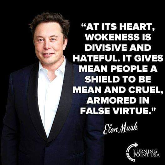 TRUMP_ARMY_'s tweet photo. @elonmusk WOKENESS IS DIVISIVE AND HATEFUL!! https://t.co/iy8ysoXmWT