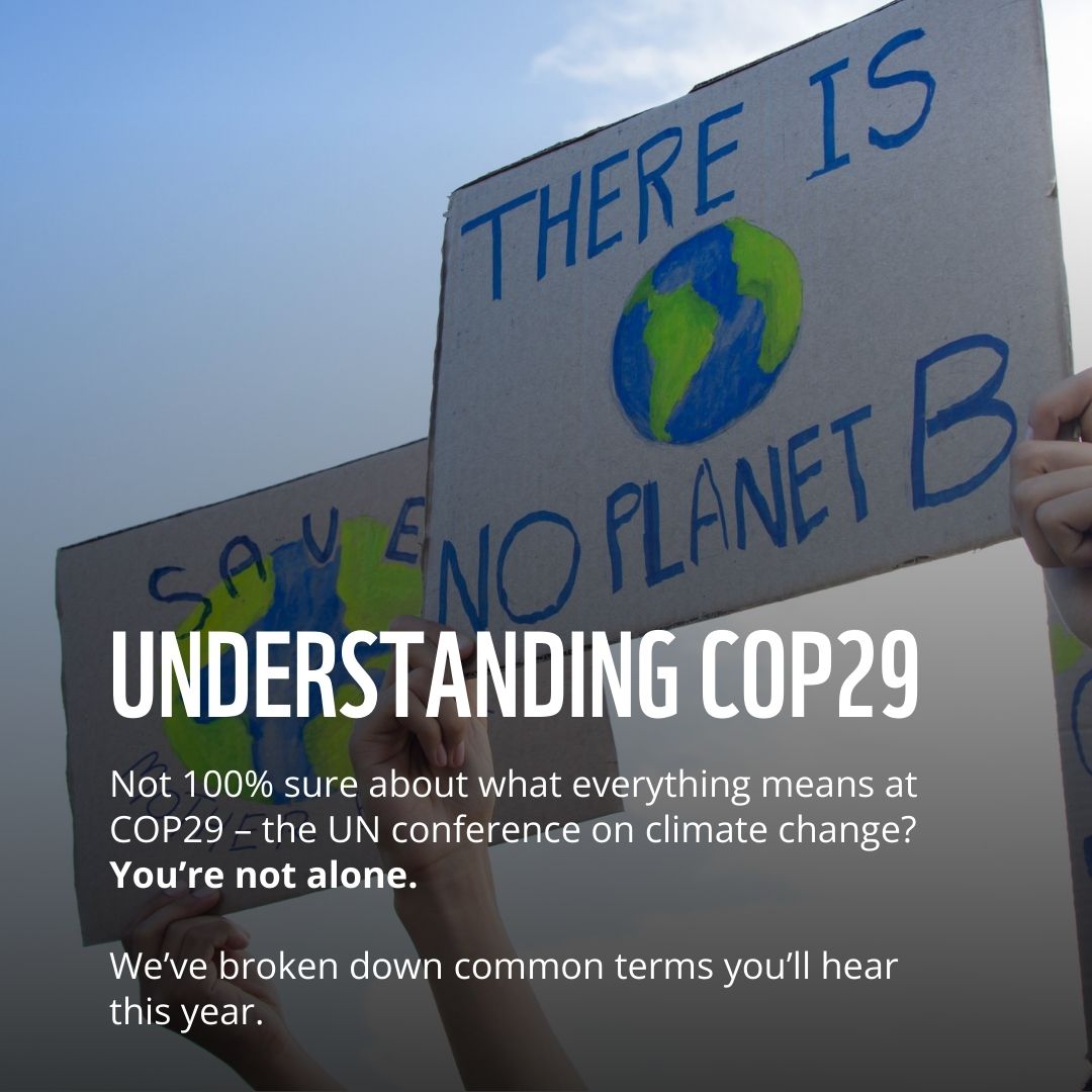 WWF South Africa tweet media