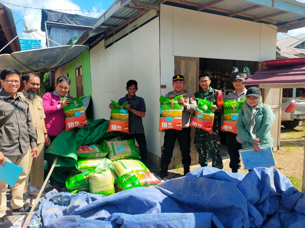 Trd0902's tweet photo. Pendim0902BERAU - Bentuk dukungan yang diberikan oleh Babinsa Koramil 09/Biatan Kodim 0902/Bru Serka Irfan Gunawan, dalam upaya Tingkatkan produktivitas pertanian melalui pengecekan alsintan dan benih padi, Tempat di Kp. Buyung-Buyung Kec. Tabalar Kab. Berau. Selasa (12/11/2024). https://t.co/YPez5qI7qn