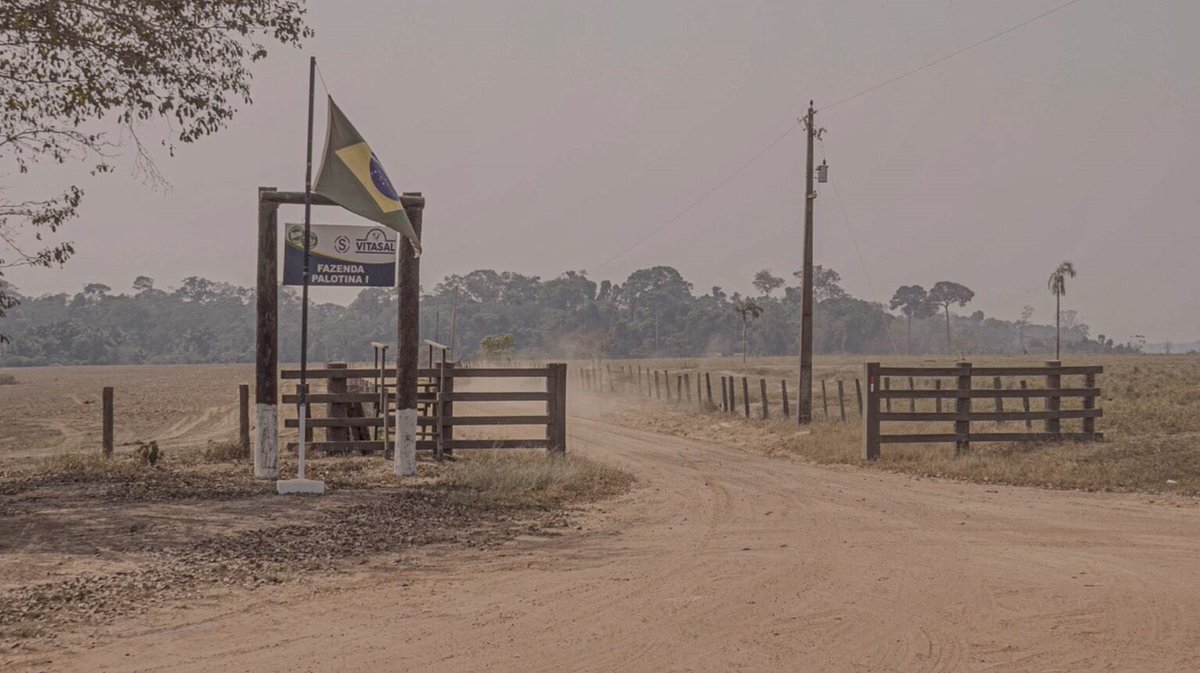martinellosilv's tweet photo. NOVO FAROESTE! Os repórteres Fábio Pontes e Cleilson Miranda percorreram, em agosto, os 230km, entre Rio Branco e Boca do Acre, na divisa Amacro (AM, AC e RO). Uma região, atualmente, das mais violentas por disputas de terras e crimes ambientais. Ver matéria no site O Varadouro. https://t.co/41WEQYoWSU
