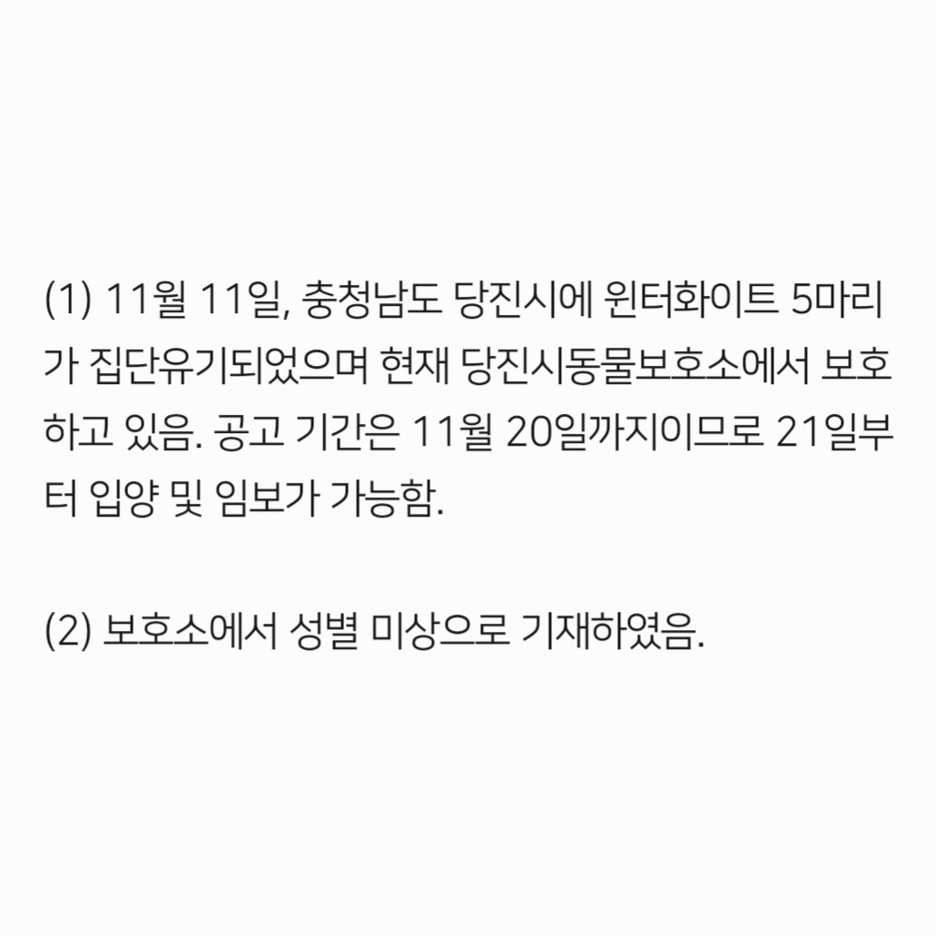 컷오프 프로젝트 tweet media