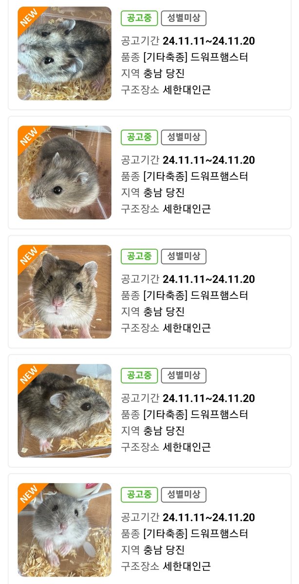 컷오프 프로젝트 tweet media