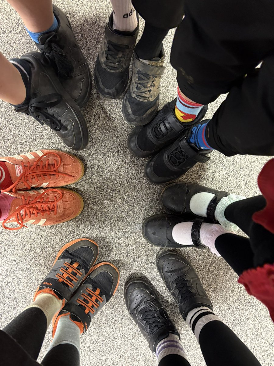 BVS Year 5 tweet media