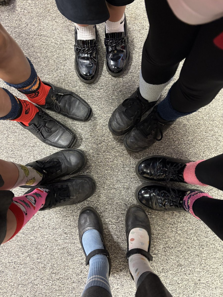 BVS Year 5 tweet media