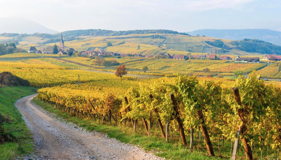Alsace: "This lesser-known wine region is one of France's loveliest"! 🍇 👑

shorturl.at/hcn7Y <a href="/thetimes/">The Times and The Sunday Times</a> #DrinkAlsace