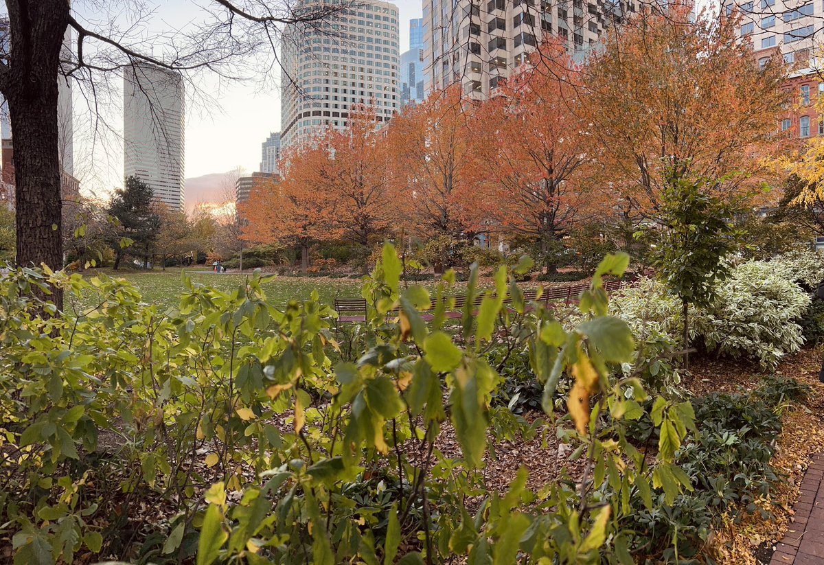 #Fall in #Boston