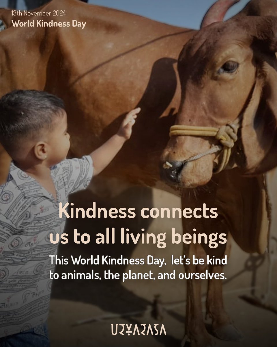 Urvarasa tweet media