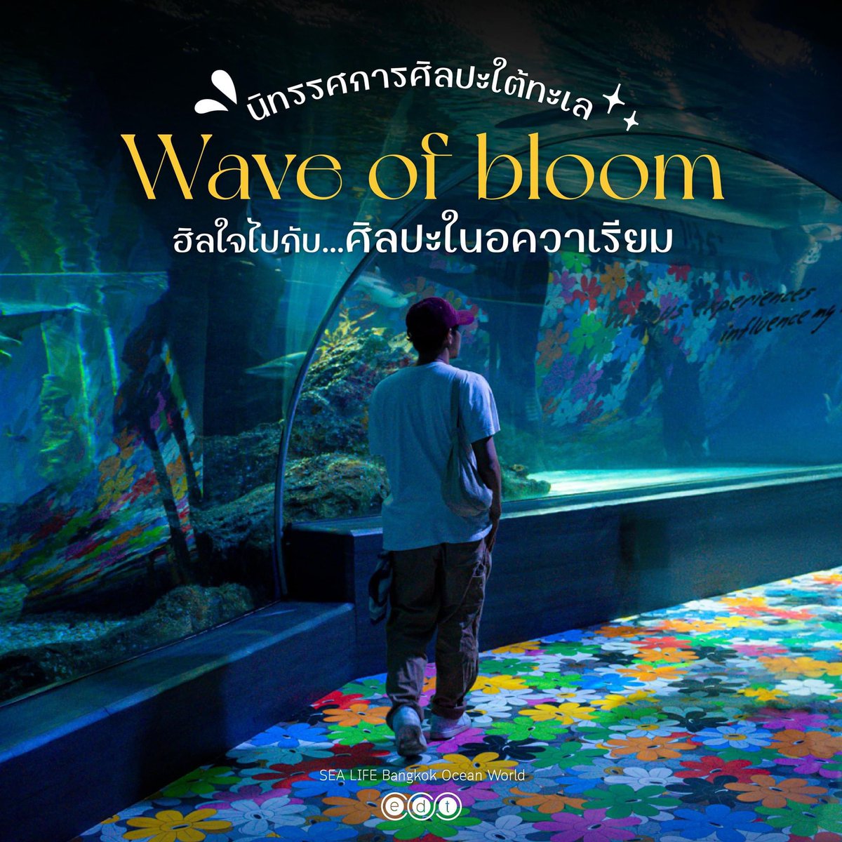 edtguide tweet media