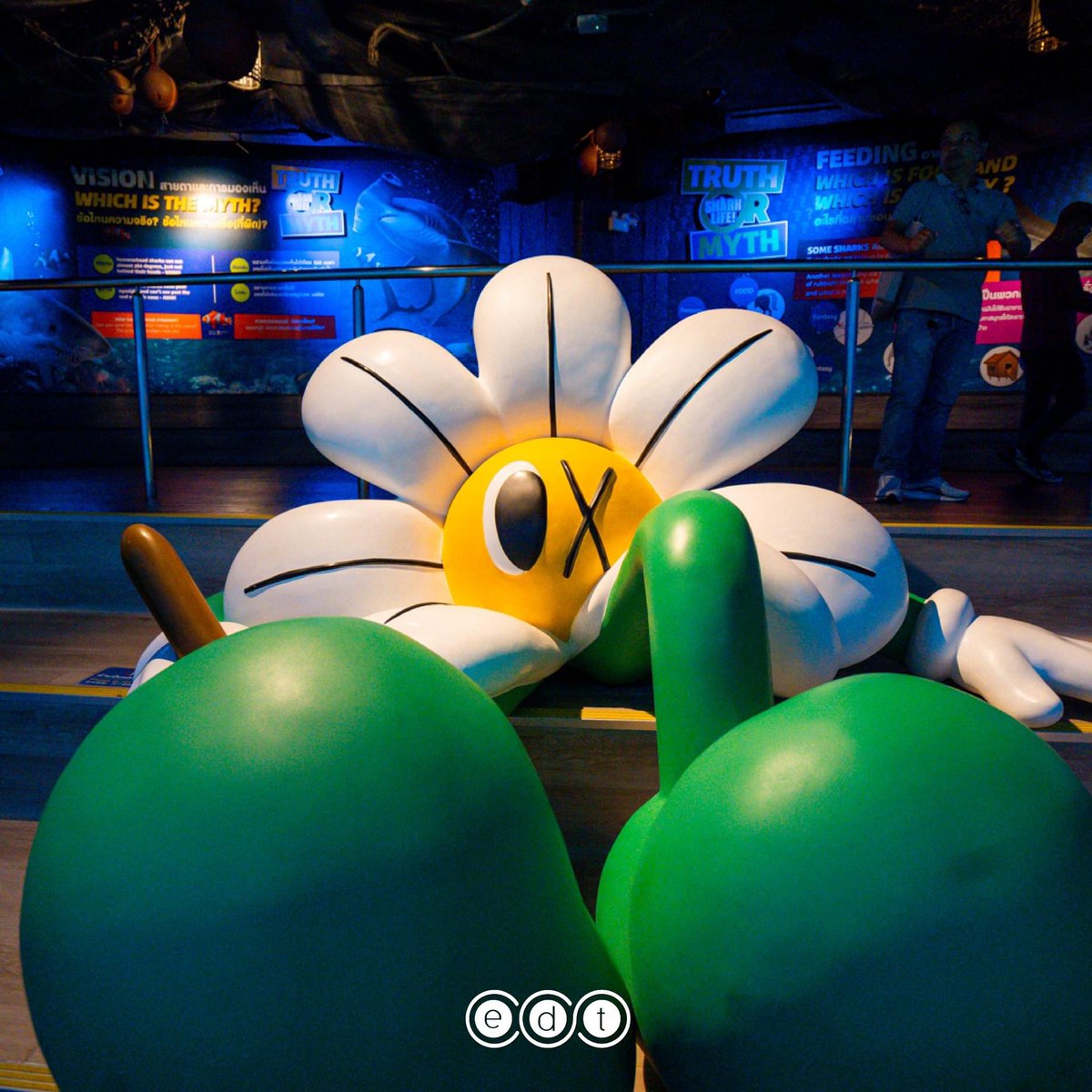 edtguide tweet media