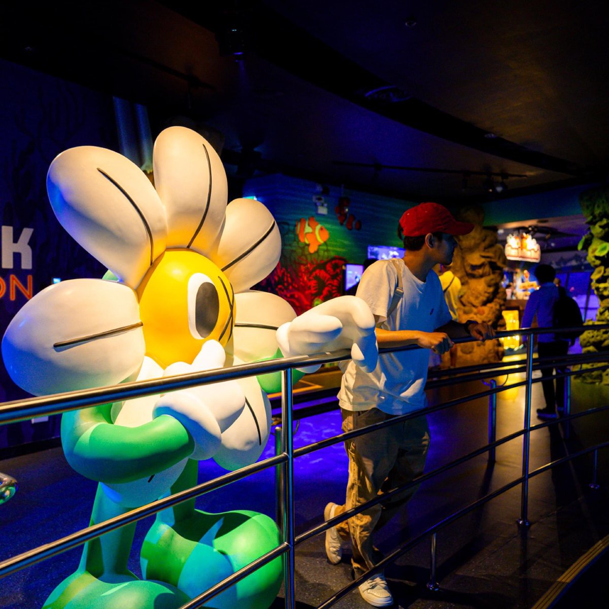 edtguide tweet media