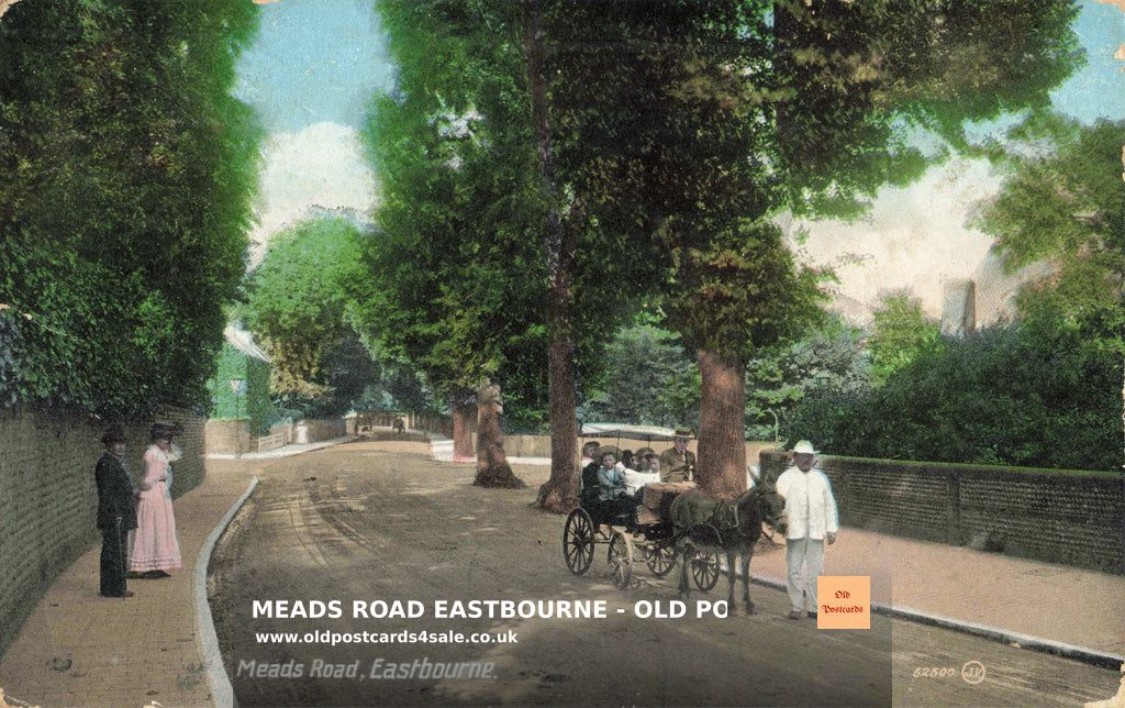 Old Postcards tweet media