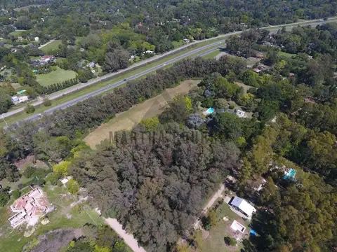 Veronica Coto tweet media