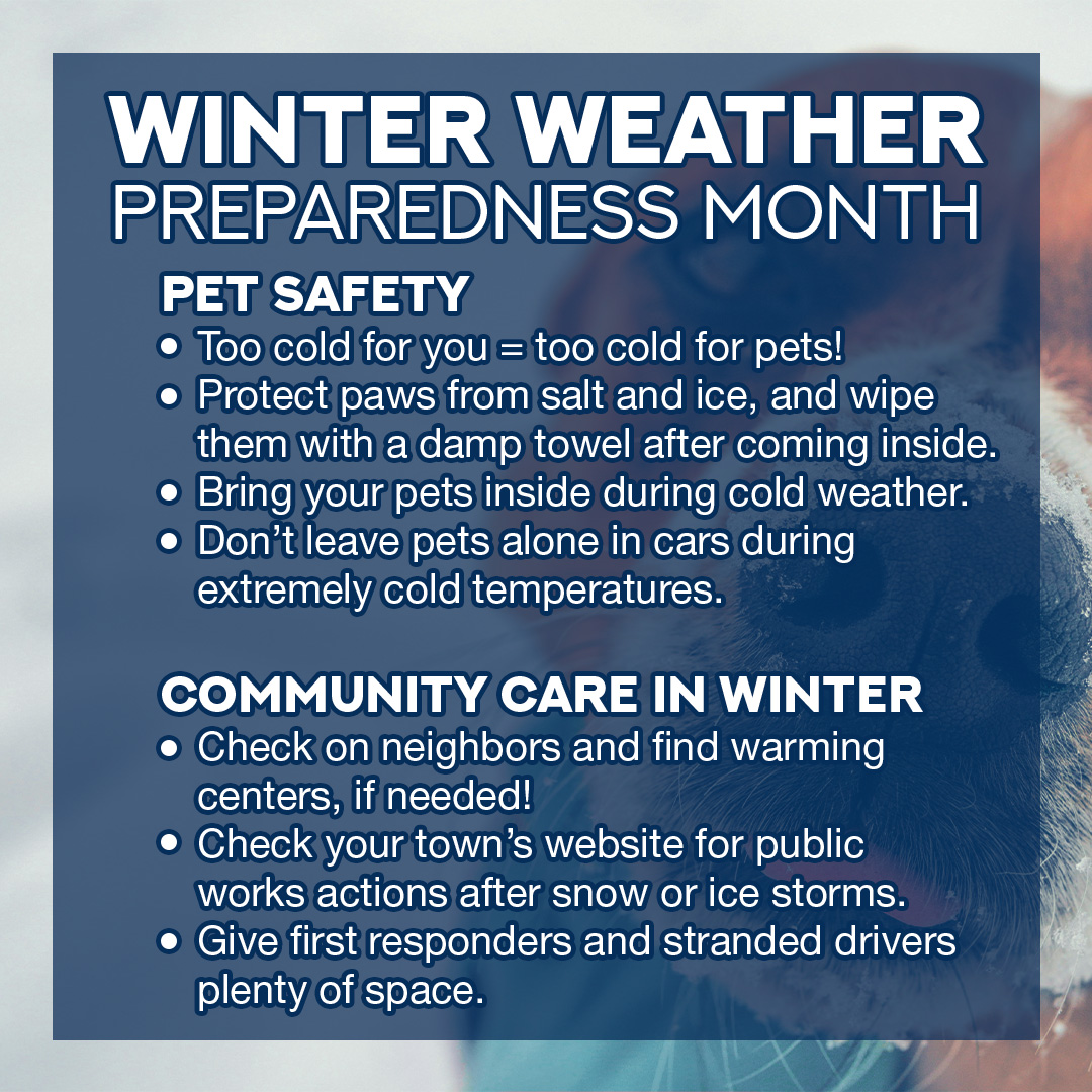 Winter storms create a higher risk of car accidents, hypothermia, frostbite, carbon monoxide poisoning and heart attacks from overexertion. Stay safe with these winter weather safety and preparedness tips: ilsenatedems.co/BTGt50U2IHj