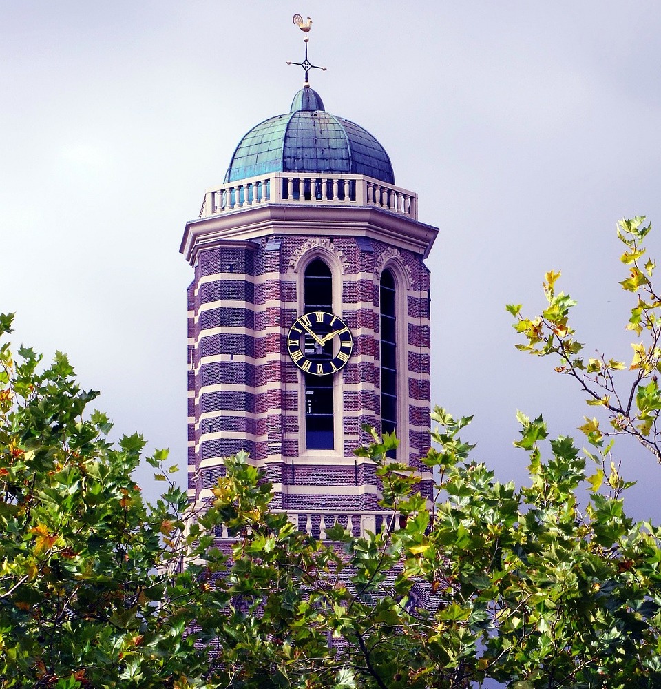 VWI-netwerk tweet media