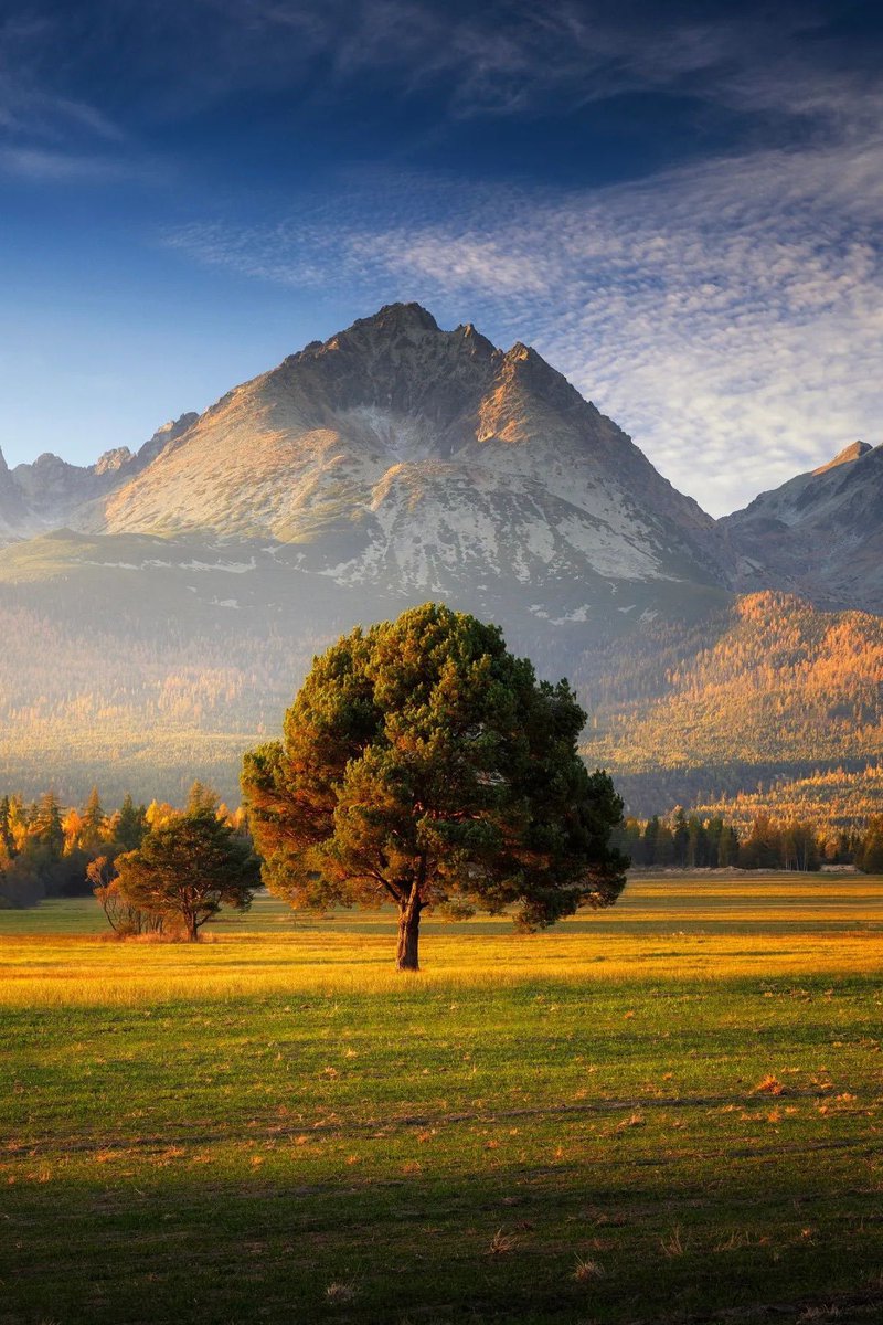 𝑀𝒶𝓇𝒾 𝒟𝒶𝓎𝓈𝒾 tweet media