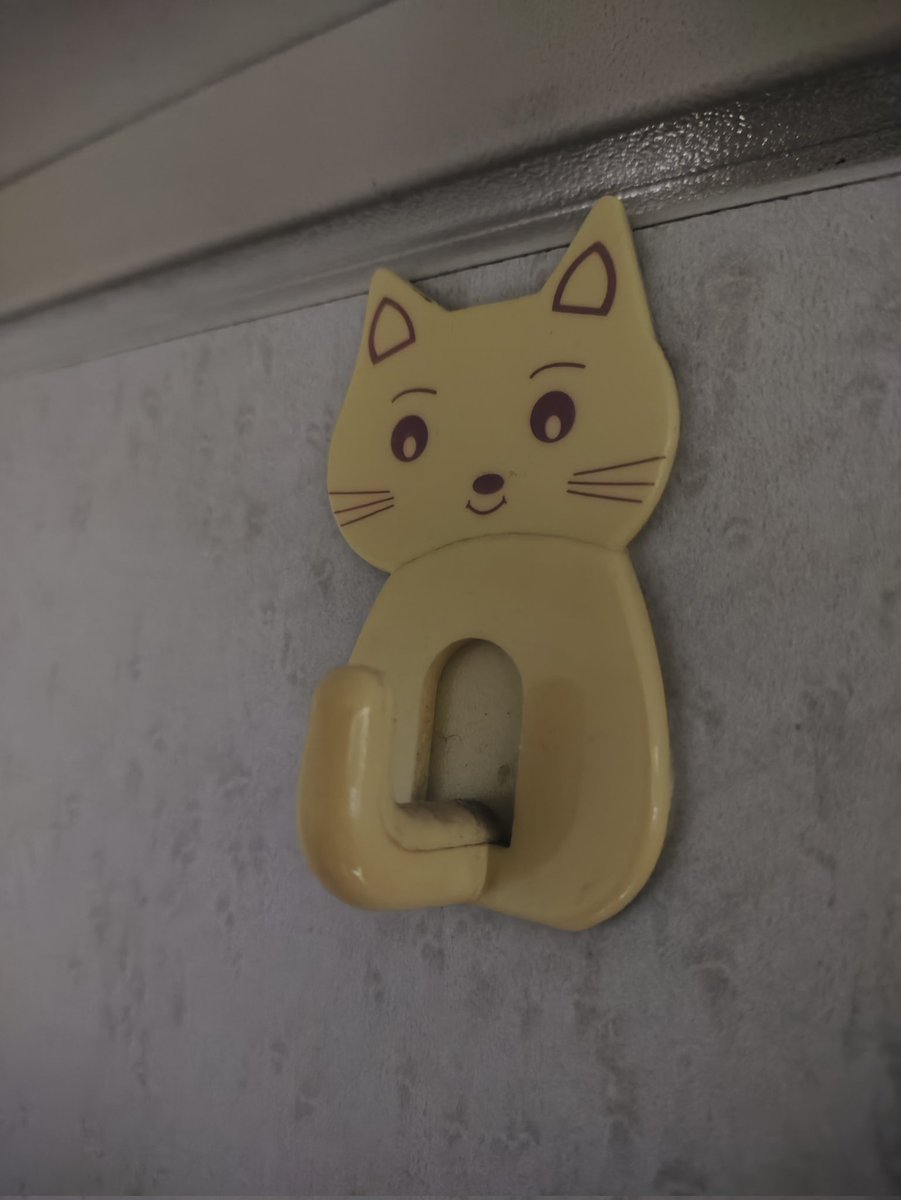 seekdawns's tweet photo. 気分がひどく落ち込んでいる時、ねこを見かけるだけで少し気持ちが和らぐ。 https://t.co/T3Xqe57fVV