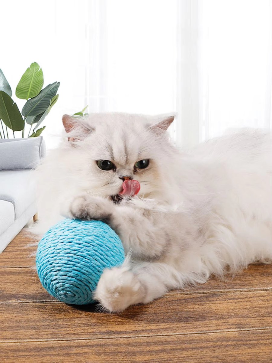 andyoriginal875's tweet image. Say goodbye to scratched furniture! 🛋️✨ This Cat Scratching Ball keeps your kitty happily entertained and satisfies their scratching instincts 🐾🎉. Give them hours of fun and your home some peace! 😸

Visit: critterbuys.com

#HappyKitty #ScratchFun #cats #dogs #pet…